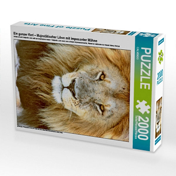 Ein ganzer Kerl - Majestätischer Löwe mit imposanter Mähne (Puzzle), Calvendo