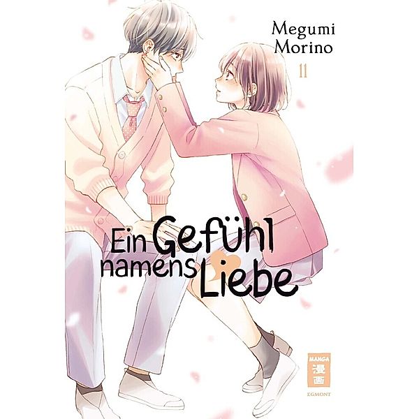 Ein Gefühl namens Liebe 11, Megumi Morino