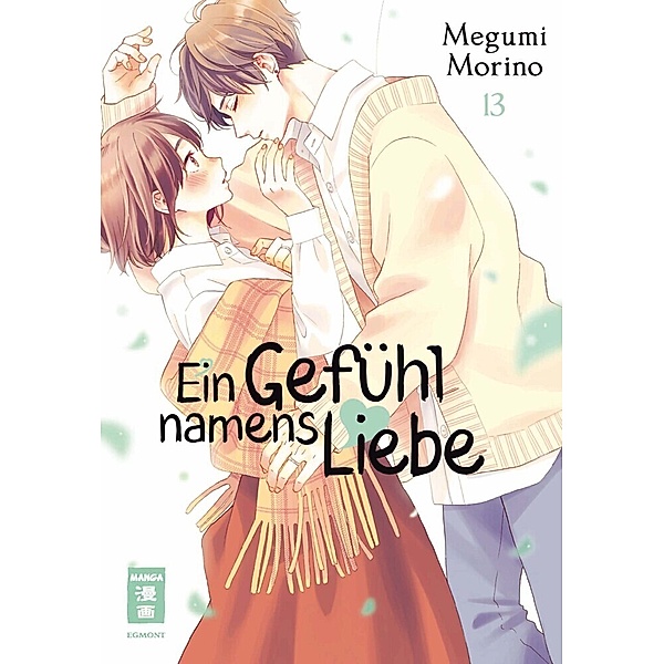 Ein Gefühl namens Liebe 13, Megumi Morino