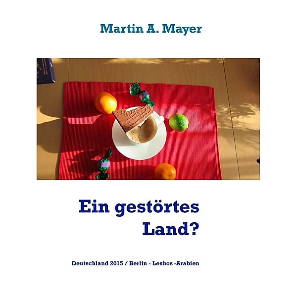 Ein gestörtes Land?, Martin A. Mayer