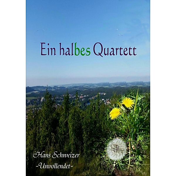 Ein halbes Quartett, Hans Schweizer