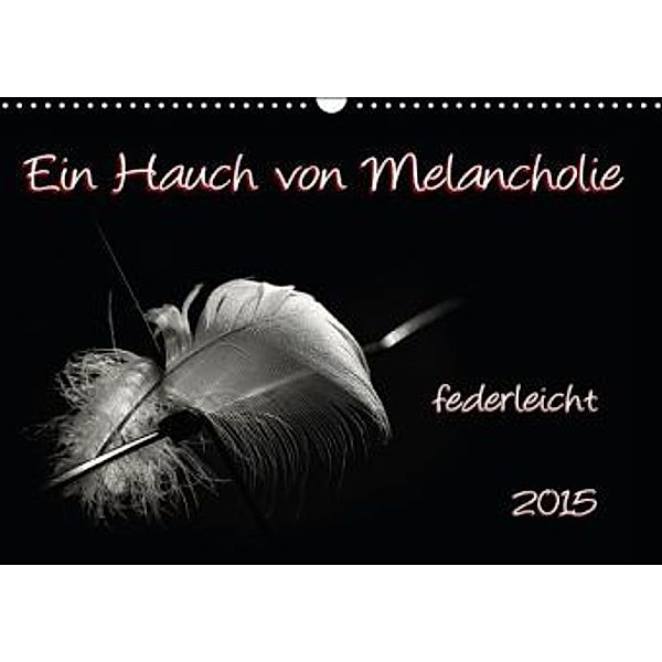 Ein Hauch von Melancholie - federleicht (Wandkalender 2016 DIN A3 quer), Petra Voß