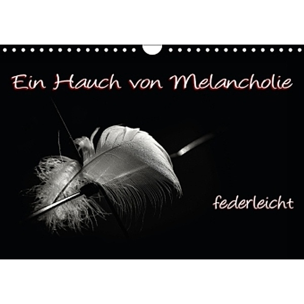 Ein Hauch von Melancholie - federleicht (Wandkalender 2016 DIN A4 quer), Petra Voß