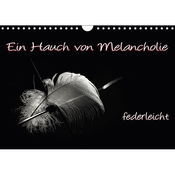 Ein Hauch von Melancholie - federleicht (Wandkalender 2018 DIN A4 quer), Petra Voß