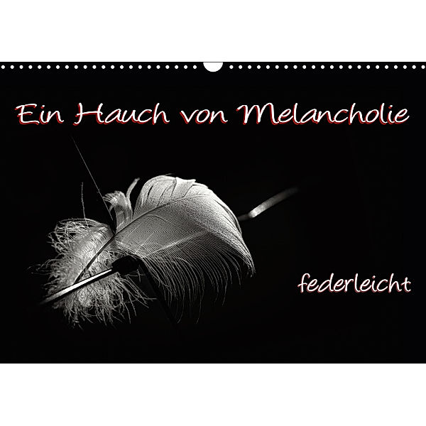 Ein Hauch von Melancholie - federleicht (Wandkalender 2019 DIN A3 quer), ppicture