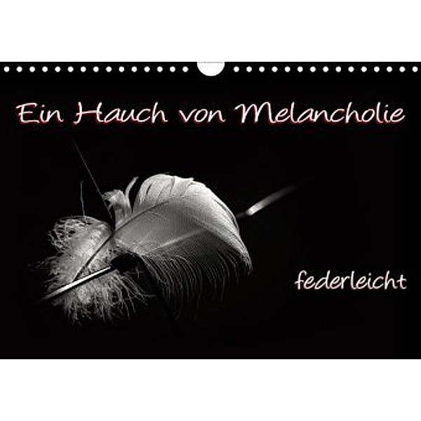 Ein Hauch von Melancholie - federleicht (Wandkalender 2020 DIN A4 quer), ppicture