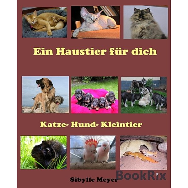 Ein Haustier für dich, Sibylle Meyer