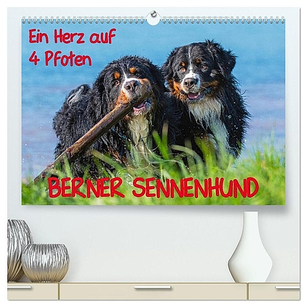 Ein Herz auf 4 Pfoten - Berner Sennenhund (hochwertiger Premium Wandkalender 2024 DIN A2 quer), Kunstdruck in Hochglanz, Sigrid Starick