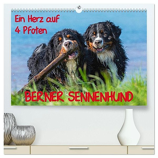 Ein Herz auf 4 Pfoten - Berner Sennenhund (hochwertiger Premium Wandkalender 2025 DIN A2 quer), Kunstdruck in Hochglanz, Calvendo, Sigrid Starick