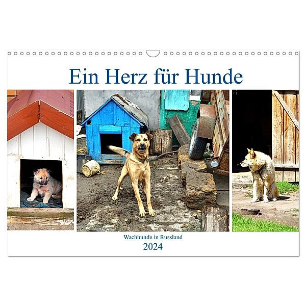 Ein Herz für Hunde - Wachhunde in Russland (Wandkalender 2024 DIN A3 quer), CALVENDO Monatskalender, Henning von Löwis of Menar