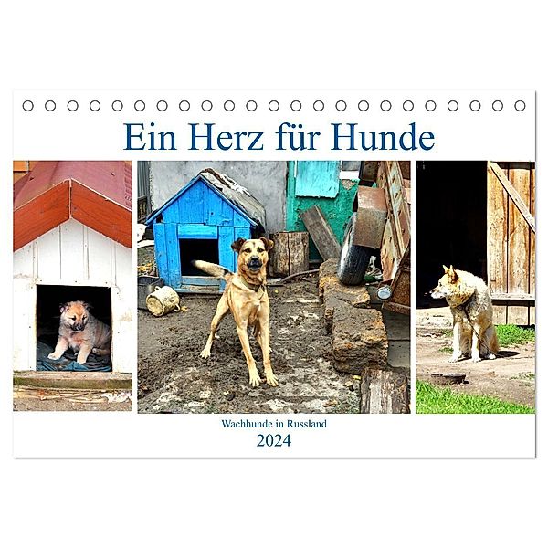 Ein Herz für Hunde - Wachhunde in Russland (Tischkalender 2024 DIN A5 quer), CALVENDO Monatskalender, Henning von Löwis of Menar