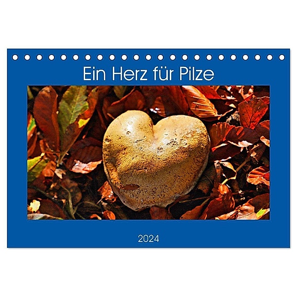 Ein Herz für Pilze (Tischkalender 2024 DIN A5 quer), CALVENDO Monatskalender, Günther Geiger