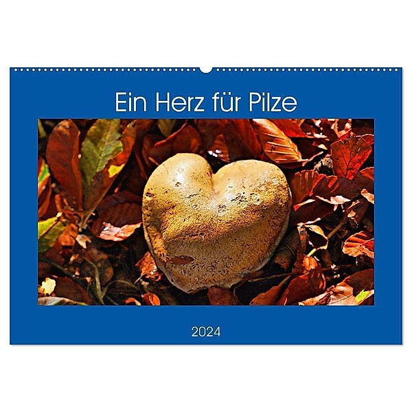 Ein Herz für Pilze (Wandkalender 2024 DIN A2 quer), CALVENDO Monatskalender, Günther Geiger