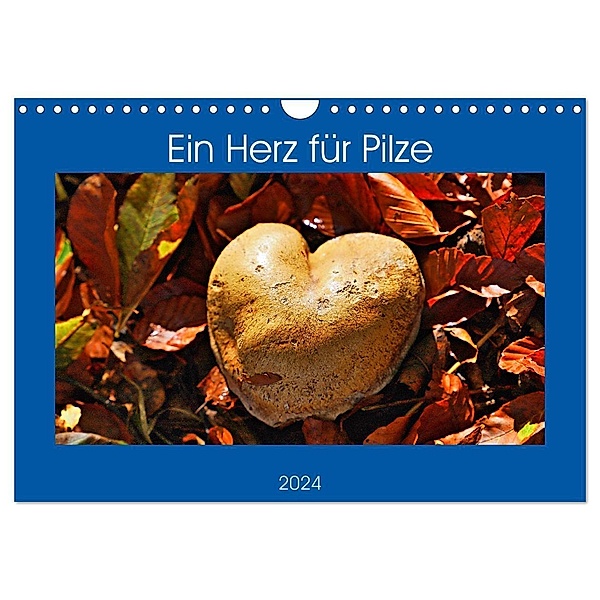Ein Herz für Pilze (Wandkalender 2024 DIN A4 quer), CALVENDO Monatskalender, Günther Geiger