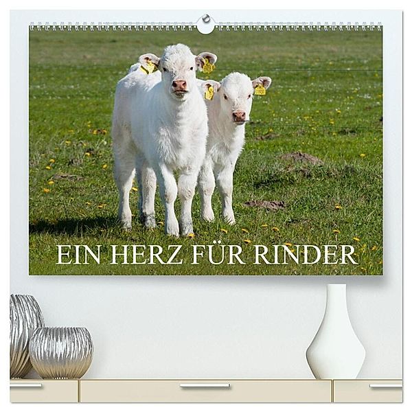 Ein Herz für Rinder (hochwertiger Premium Wandkalender 2024 DIN A2 quer), Kunstdruck in Hochglanz, Sigrid Starick