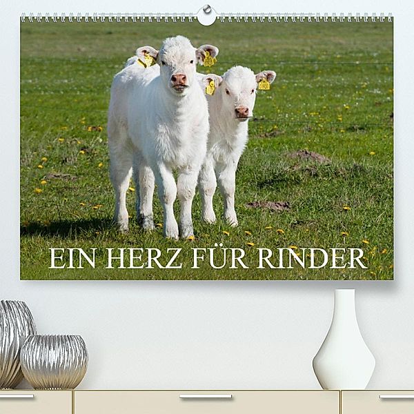 Ein Herz für Rinder (Premium, hochwertiger DIN A2 Wandkalender 2023, Kunstdruck in Hochglanz), Sigrid Starick
