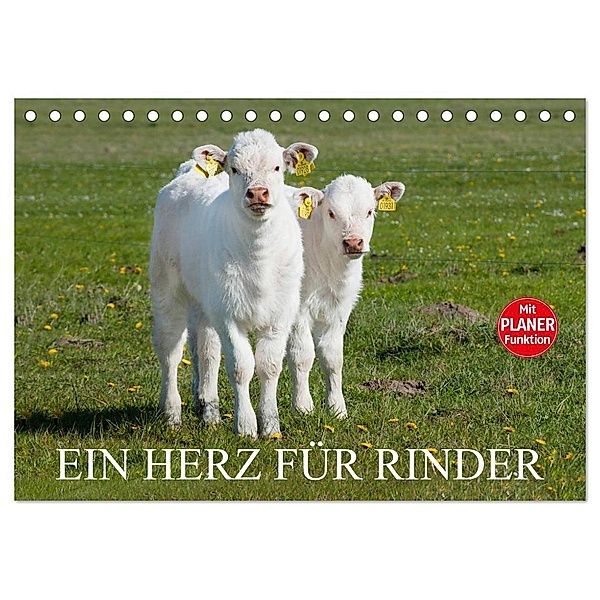 Ein Herz für Rinder (Tischkalender 2024 DIN A5 quer), CALVENDO Monatskalender, Sigrid Starick