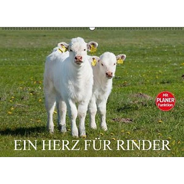 Ein Herz für Rinder (Wandkalender 2016 DIN A2 quer), Sigrid Starick