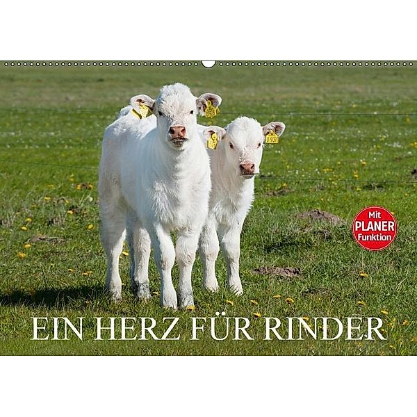 Ein Herz für Rinder (Wandkalender 2017 DIN A2 quer), Sigrid Starick