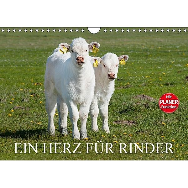 Ein Herz für Rinder (Wandkalender 2018 DIN A4 quer), Sigrid Starick