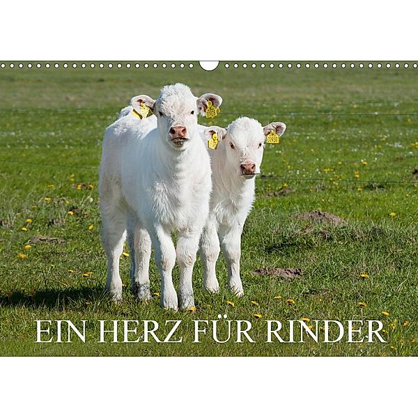 Ein Herz für Rinder (Wandkalender 2021 DIN A3 quer), Sigrid Starick