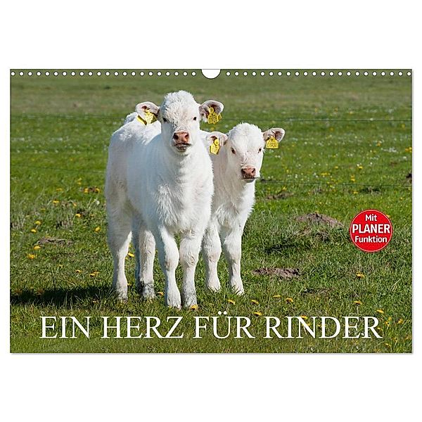 Ein Herz für Rinder (Wandkalender 2024 DIN A3 quer), CALVENDO Monatskalender, Sigrid Starick