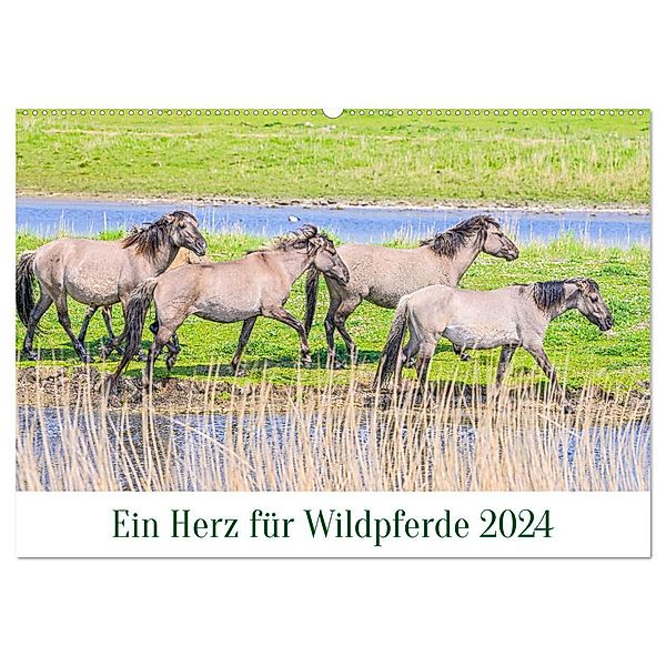 Ein Herz für Wildpferde (Wandkalender 2024 DIN A2 quer), CALVENDO Monatskalender, Rainer Plett