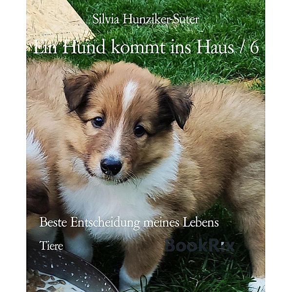 Ein Hund kommt ins Haus / 6, Silvia Hunziker-Suter