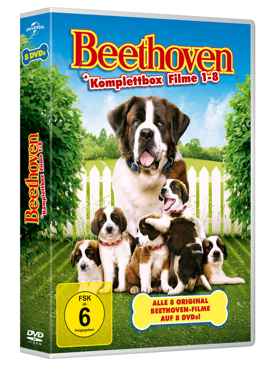 Ein Hund namens Beethoven - Komplettbox DVD | Weltbild.ch