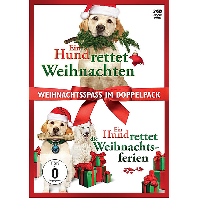 Ein Hund rettet Weihnachten Ein Hund rettet die Weihnachtsferien Film |  Weltbild.de