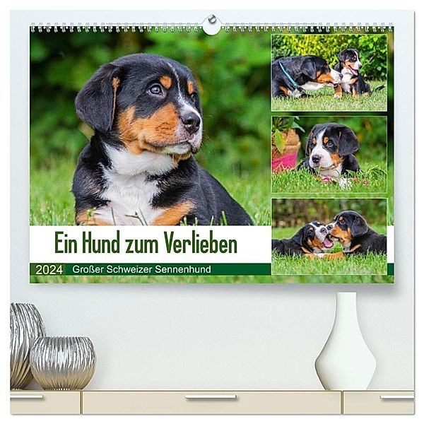 Ein Hund zum Verlieben - Großer Schweizer Sennenhund (hochwertiger Premium Wandkalender 2024 DIN A2 quer), Kunstdruck in Hochglanz, Calvendo