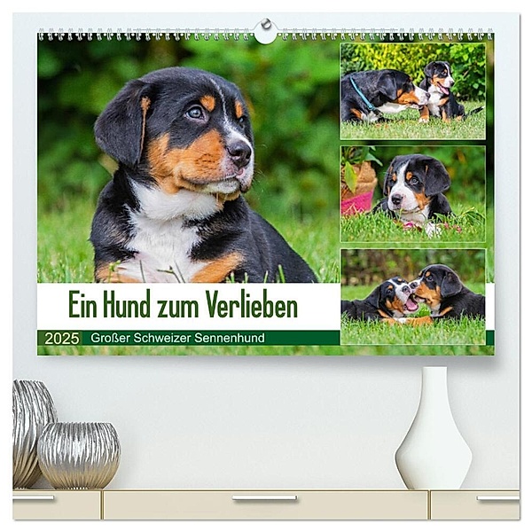 Ein Hund zum Verlieben - Großer Schweizer Sennenhund (hochwertiger Premium Wandkalender 2025 DIN A2 quer), Kunstdruck in Hochglanz, Calvendo