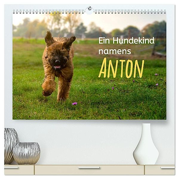 Ein Hundekind namens Anton (hochwertiger Premium Wandkalender 2024 DIN A2 quer), Kunstdruck in Hochglanz, Christiane calmbacher
