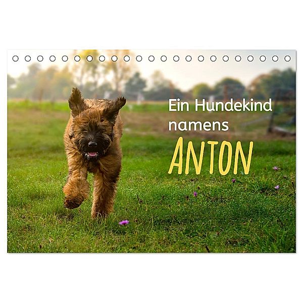 Ein Hundekind namens Anton (Tischkalender 2025 DIN A5 quer), CALVENDO Monatskalender, Calvendo, Christiane calmbacher