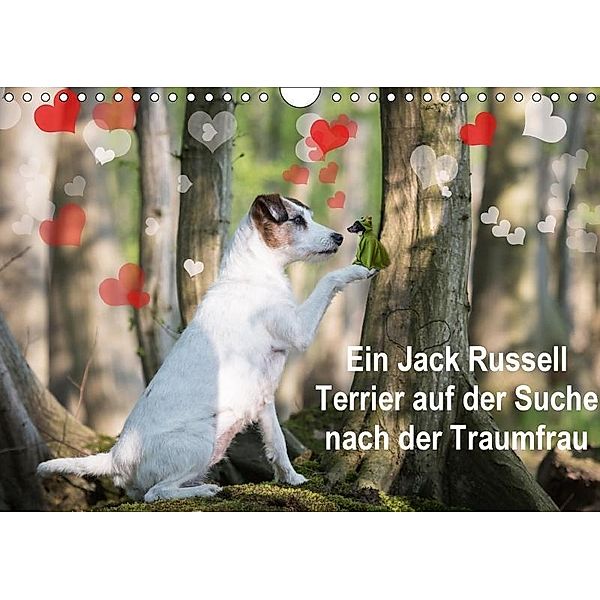Ein Jack Russell Terrier auf der Suche nach der Traumfrau (Wandkalender 2017 DIN A4 quer), Susanne Schröder