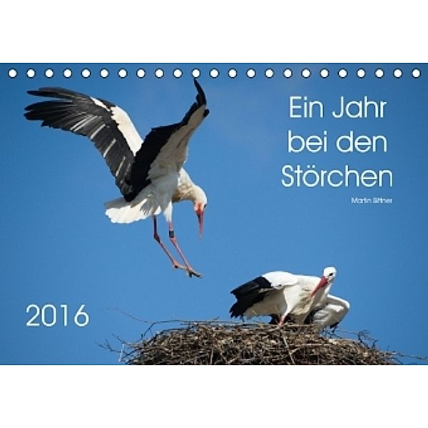 Ein Jahr bei den Störchen (Tischkalender 2016 DIN A5 quer), Martin Bittner