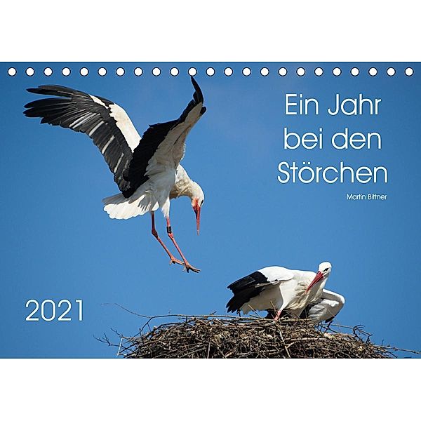 Ein Jahr bei den Störchen (Tischkalender 2021 DIN A5 quer), Martin Bittner