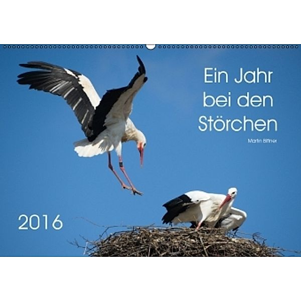 Ein Jahr bei den Störchen (Wandkalender 2016 DIN A2 quer), Martin Bittner