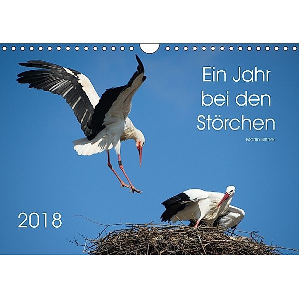 Ein Jahr bei den Störchen (Wandkalender 2018 DIN A4 quer), Martin Bittner