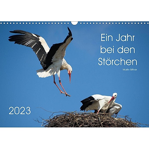 Ein Jahr bei den Störchen (Wandkalender 2023 DIN A3 quer), Martin Bittner