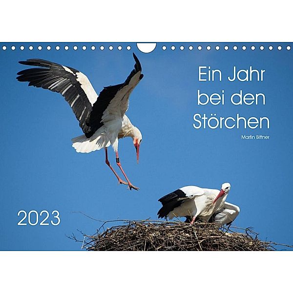 Ein Jahr bei den Störchen (Wandkalender 2023 DIN A4 quer), Martin Bittner