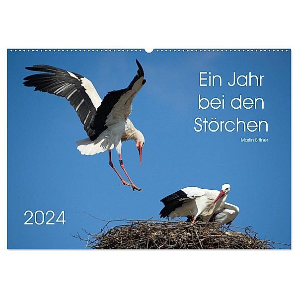 Ein Jahr bei den Störchen (Wandkalender 2024 DIN A2 quer), CALVENDO Monatskalender, Martin Bittner