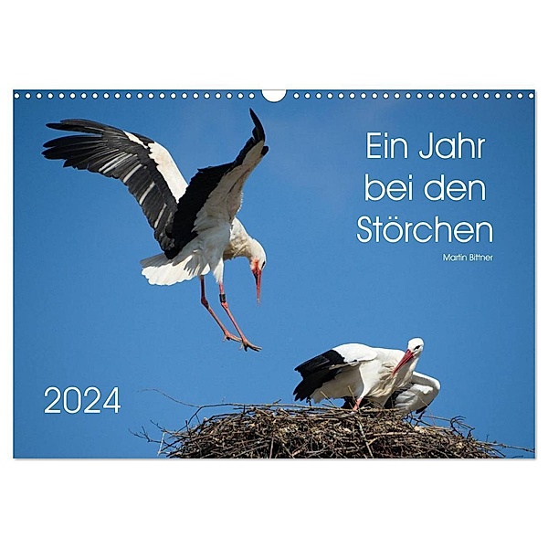 Ein Jahr bei den Störchen (Wandkalender 2024 DIN A3 quer), CALVENDO Monatskalender, Martin Bittner