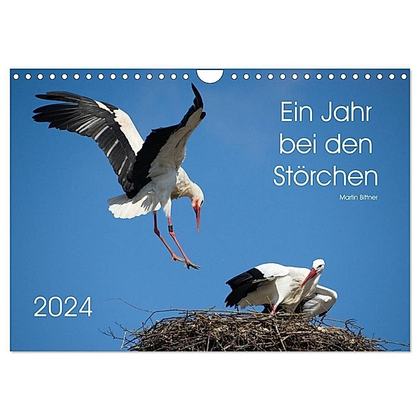 Ein Jahr bei den Störchen (Wandkalender 2024 DIN A4 quer), CALVENDO Monatskalender, Martin Bittner
