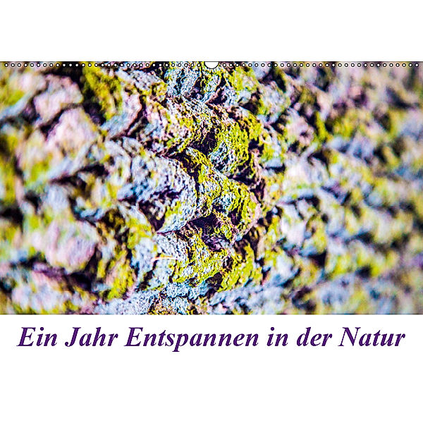 Ein Jahr Entspannen in der Natur (Wandkalender 2019 DIN A2 quer), Micaela Abel