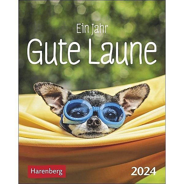 Ein Jahr gute Laune Mini-Geschenkkalender 2024. Kleiner Kalender zum Schmunzeln an jedem Tag, mit 365 Zitaten zum Lachen. Aufstellkalender 2024 für die tägliche Portion Freude, Beatrix Braukmüller