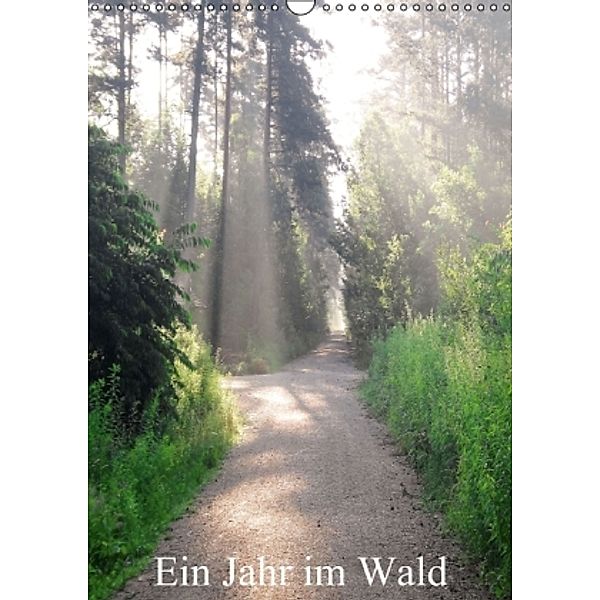 Ein Jahr im Wald (Wandkalender 2014 DIN A3 hoch), © Karin Wolf