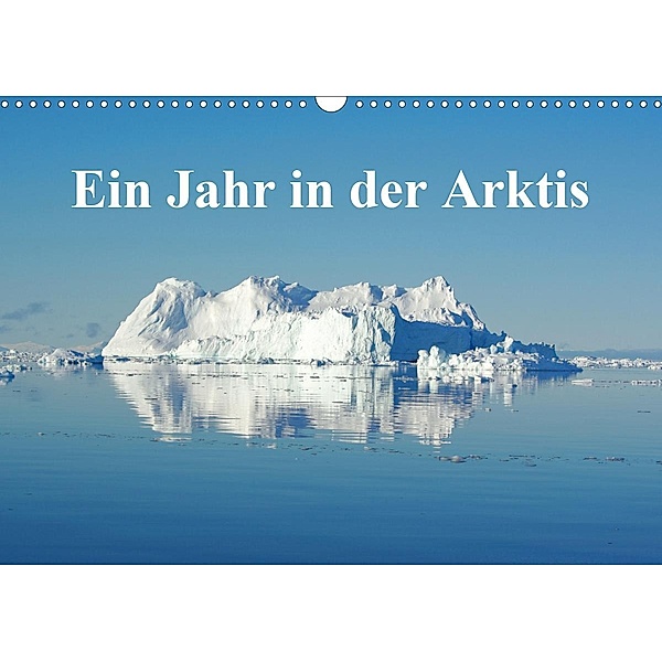 Ein Jahr in der Arktis (Wandkalender 2021 DIN A3 quer), Schluffis on Tour