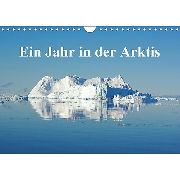 Ein Jahr in der Arktis (Wandkalender 2021 DIN A4 quer), Schluffis on Tour