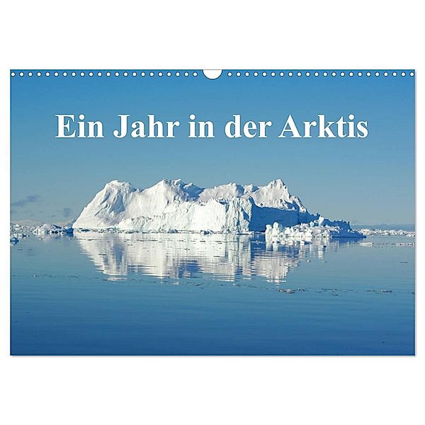 Ein Jahr in der Arktis (Wandkalender 2024 DIN A3 quer), CALVENDO Monatskalender, Schluffis on Tour